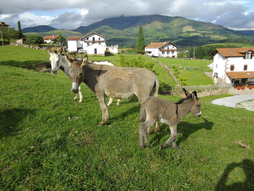 Casa Rural Petisansenea II Zuaztoy de Azpilcueta 외부 사진